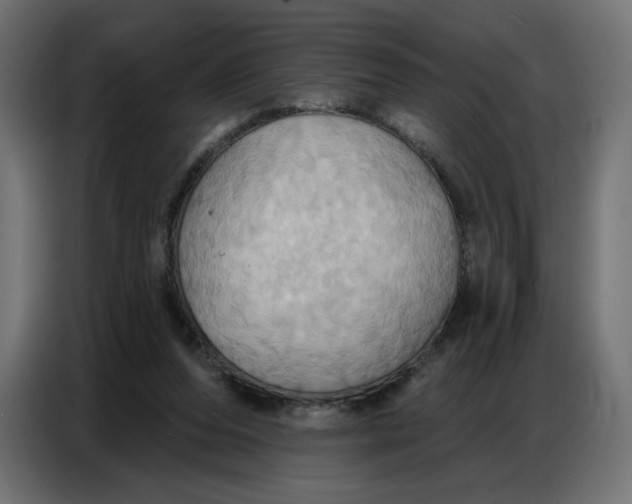 X0000086750208200705041434