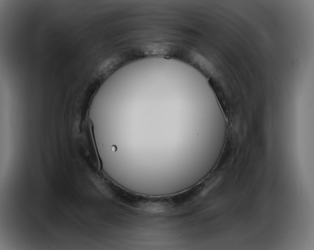 X0000086750209200705041434