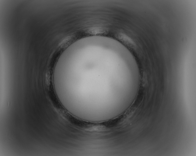 X0000086750210200705041434