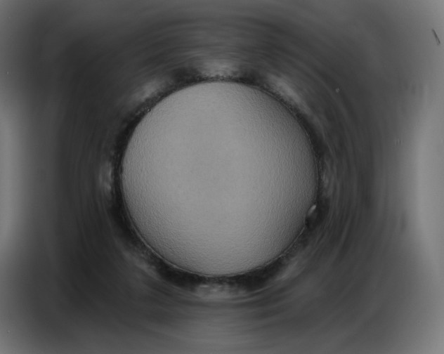 X0000086750211200705041434