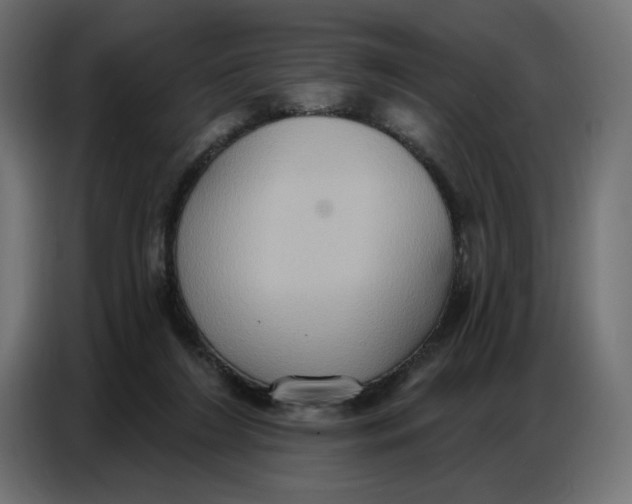 X0000086750212200705041434