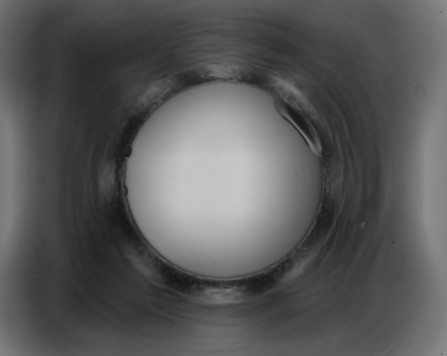 X0000086750213200705041434