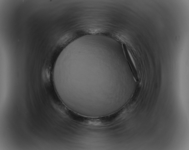 X0000086750214200705041434