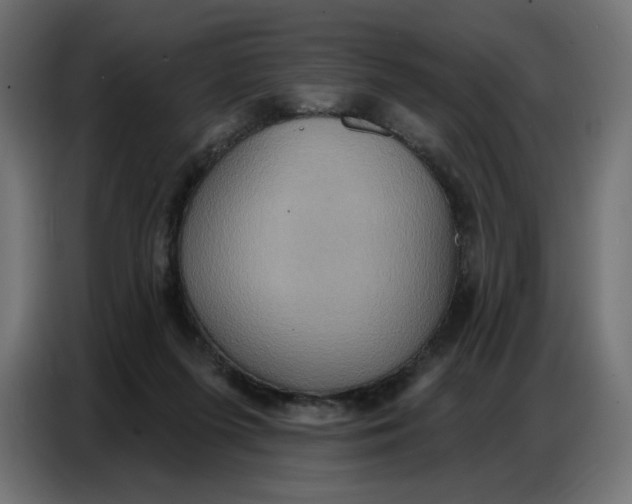 X0000086750215200705041434