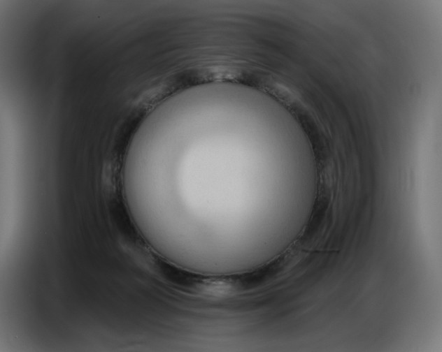 X0000086750218200705041434