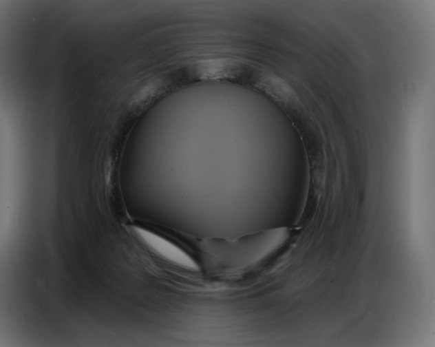 X0000086750219200705041434