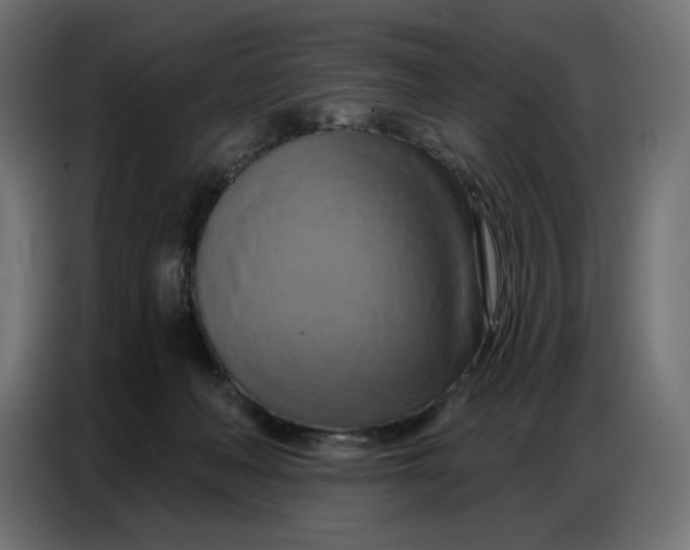 X0000086750222200705041434