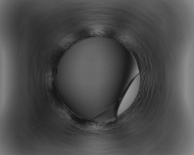 X0000086750223200705041434