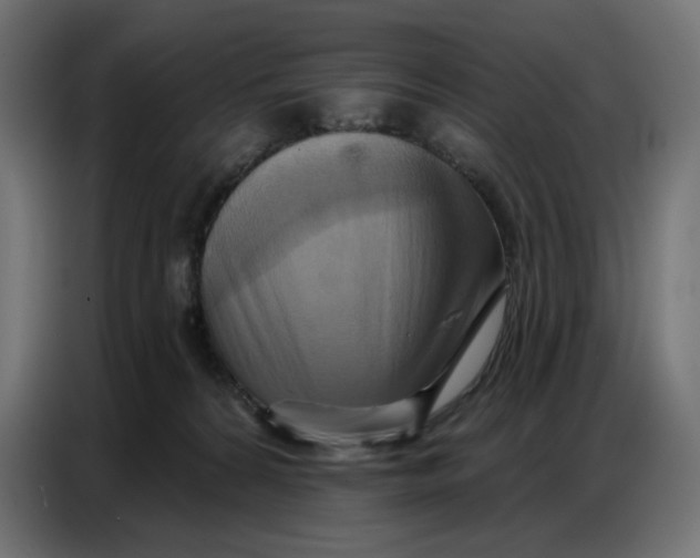 X0000086750224200705041434