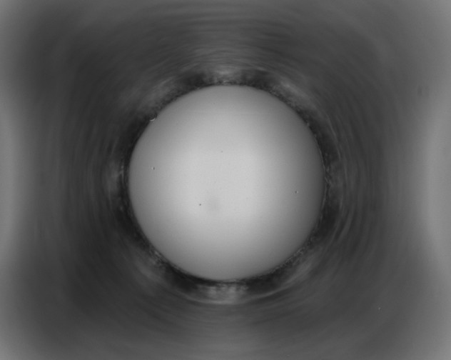 X0000086750225200705041434