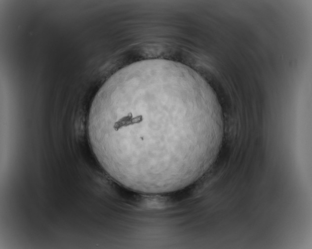 X0000086750226200705041434