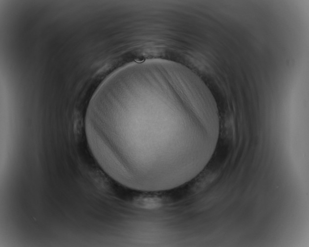 X0000086750228200705041434