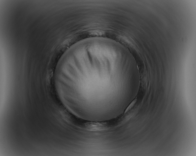 X0000086750229200705041434