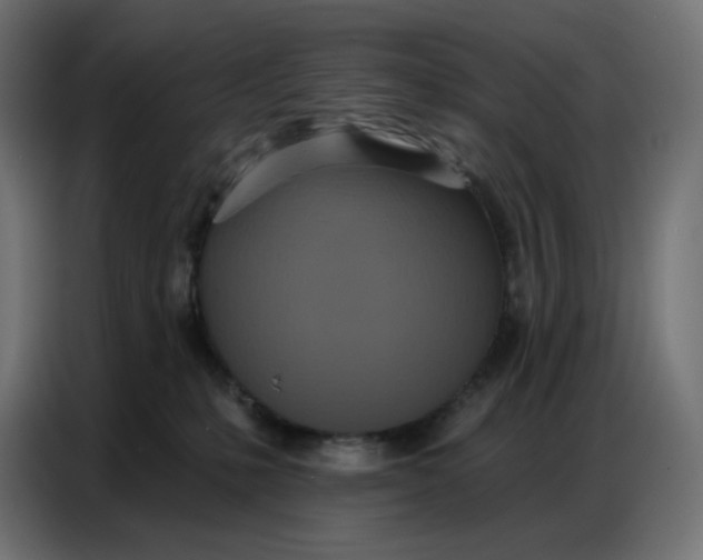 X0000086750231200705041434