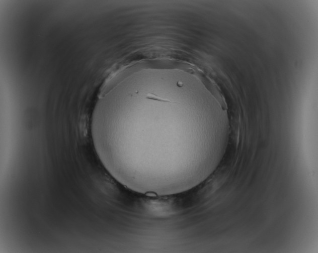 X0000086750232200705041434