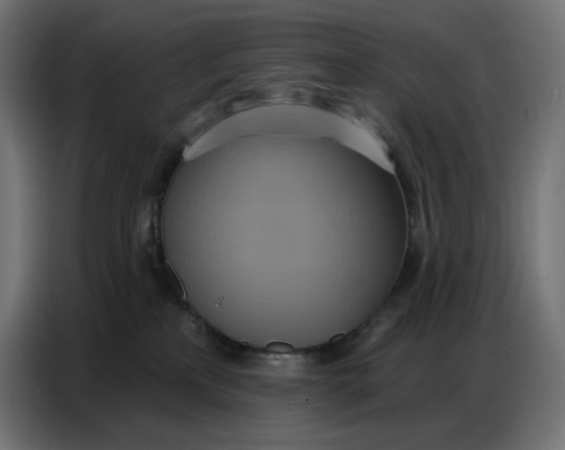 X0000086750233200705041434