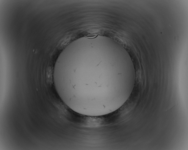 X0000086750234200705041433