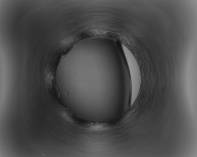 X0000086750235200705041433