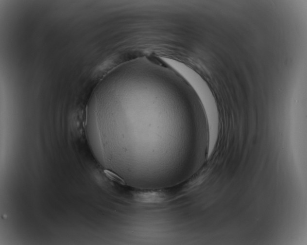 X0000086750237200705041433