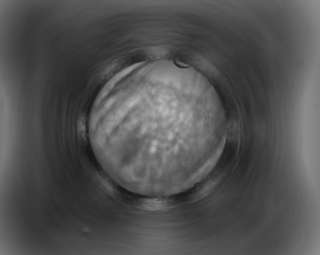 X0000086750238200705041433