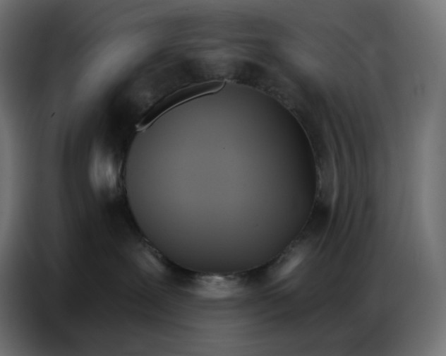 X0000086750239200705041433