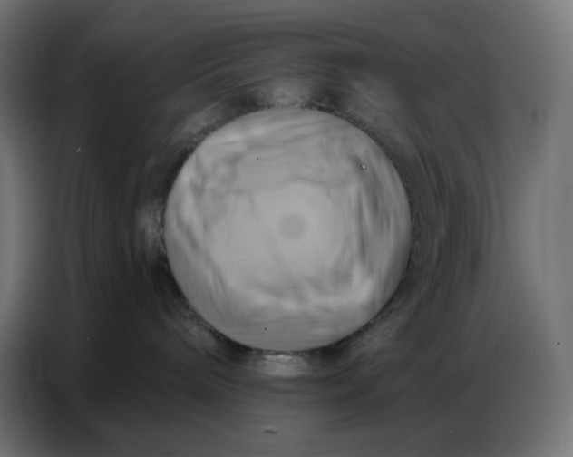 X0000086750240200705041433