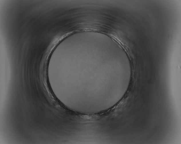 X0000086750241200705041433