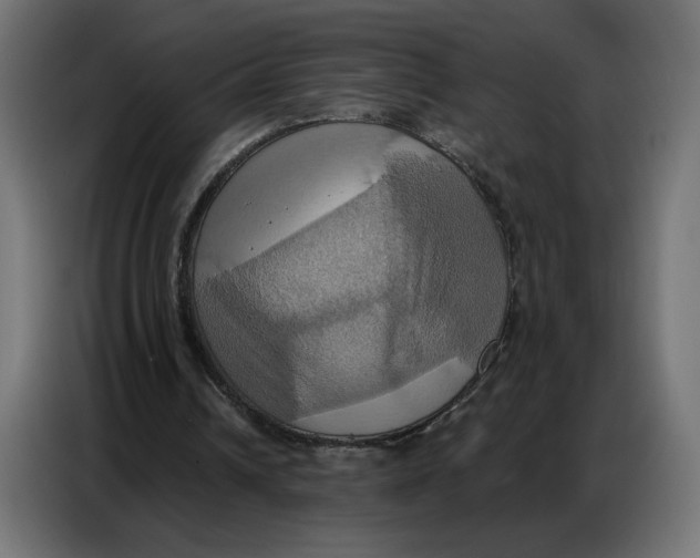 X0000086750242200705041433