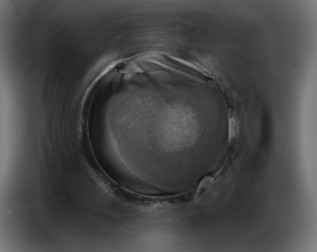 X0000086750243200705041433