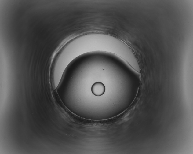 X0000086750244200705041433