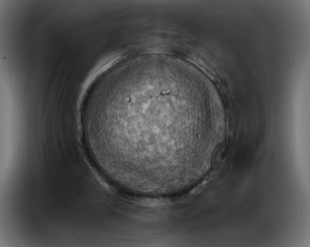 X0000086750245200705041433