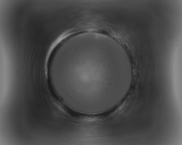 X0000086750246200705041433