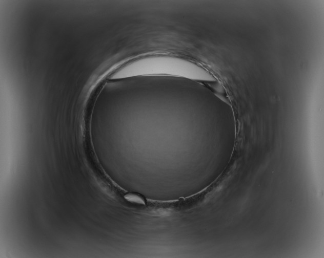 X0000086750247200705041433