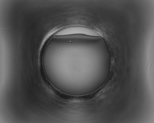 X0000086750248200705041433