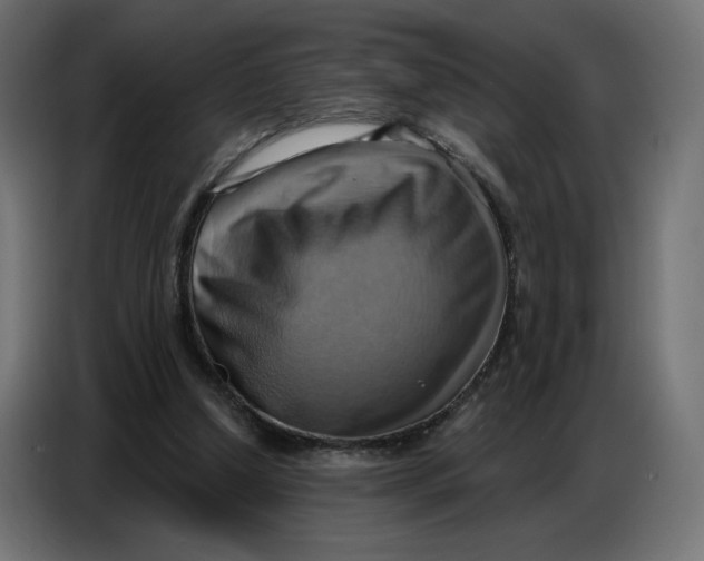 X0000086750250200705041433