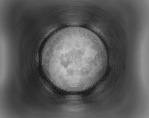 X0000086750251200705041433