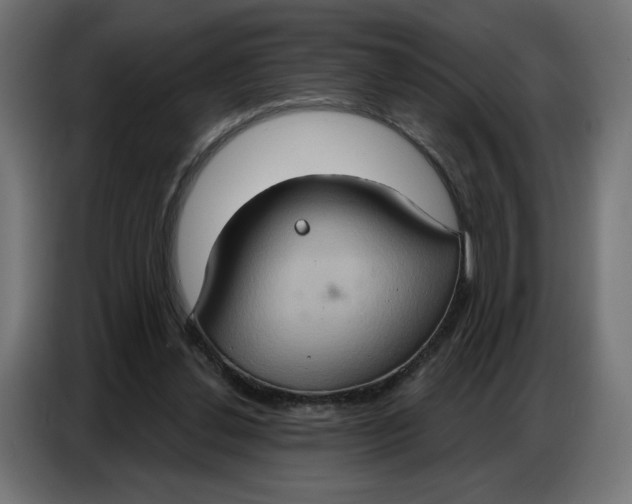 X0000086750252200705041433