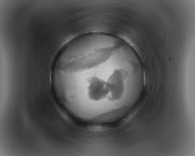 X0000086750253200705041433