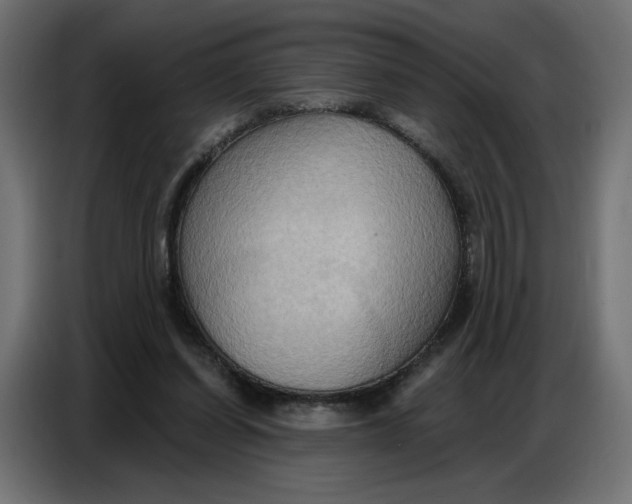 X0000086750254200705041433