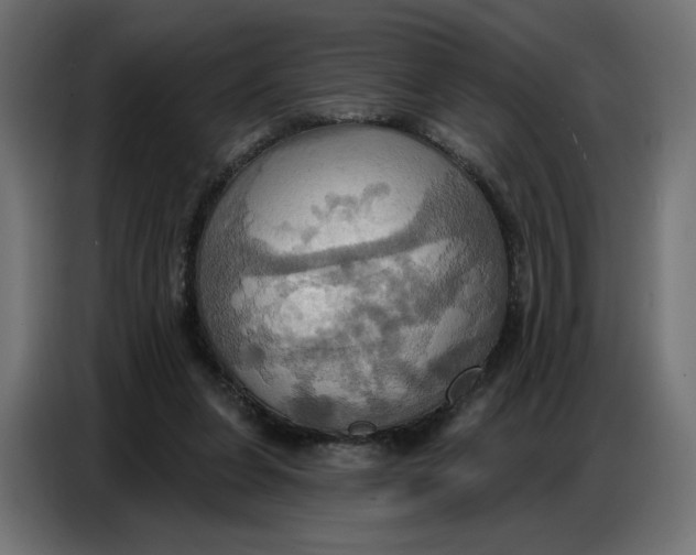 X0000086750255200705041433