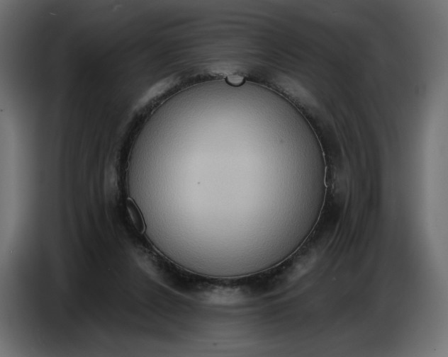 X0000086750256200705041433