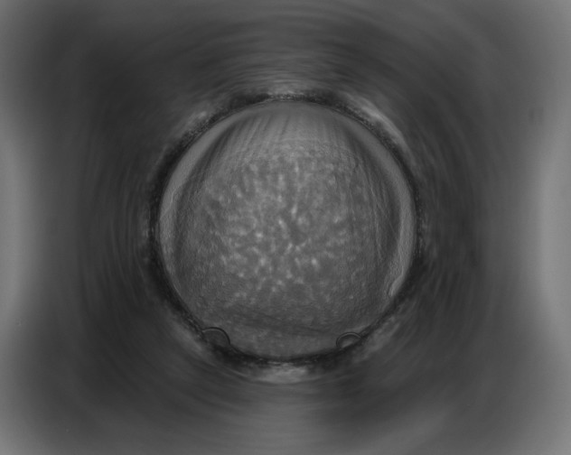 X0000086750257200705041433