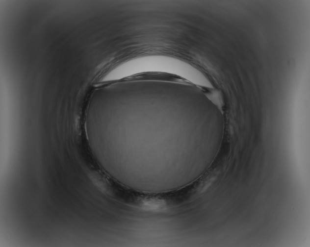 X0000086750258200705041433