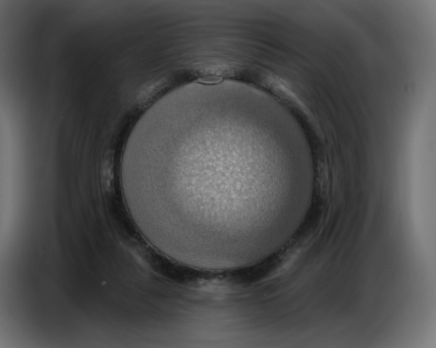 X0000086750259200705041433