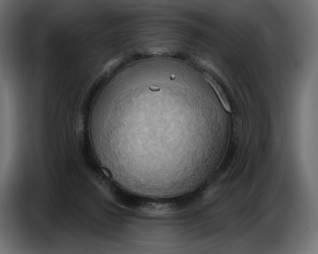 X0000086750260200705041433