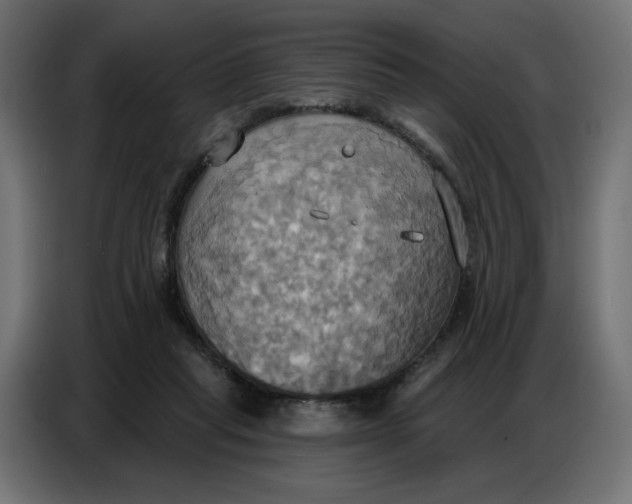 X0000086750261200705041433