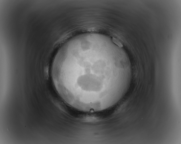 X0000086750262200705041433