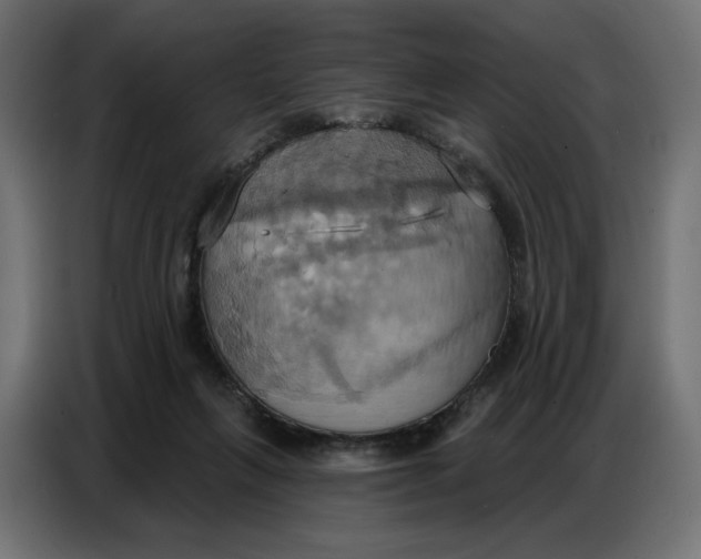 X0000086750263200705041433