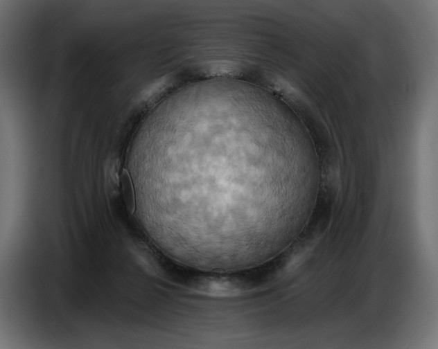 X0000086750264200705041433