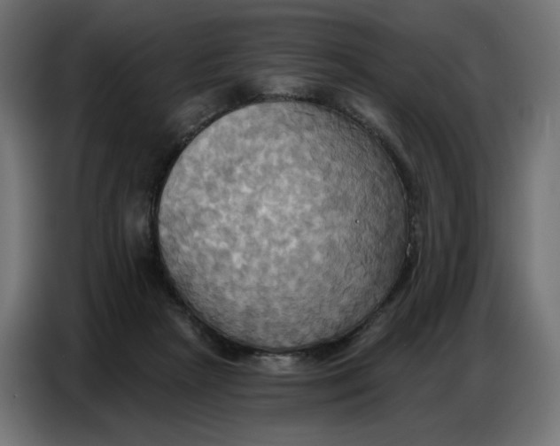 X0000086750265200705041433